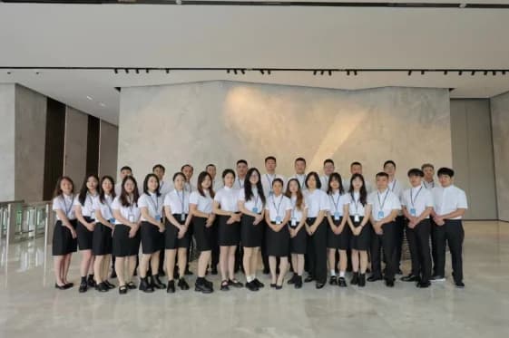 Команда профессионалов